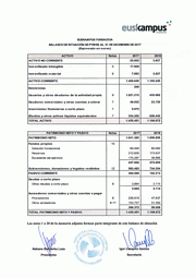 Balance y Cuenta Resultados 2017